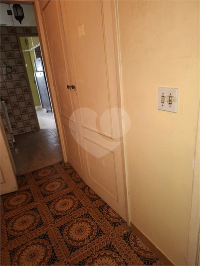 Foto REO1114875