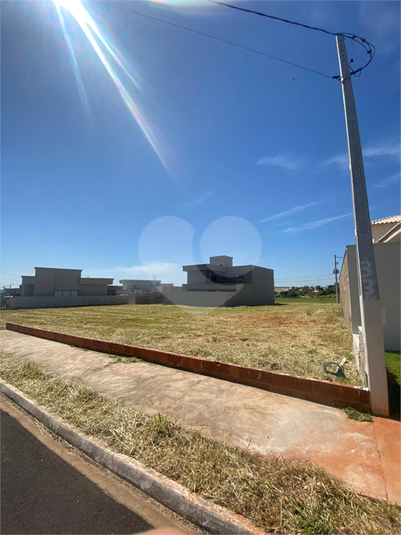 Foto REO1114876