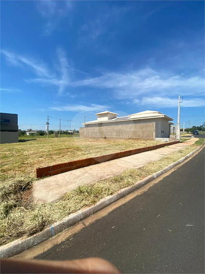 Foto REO1114876