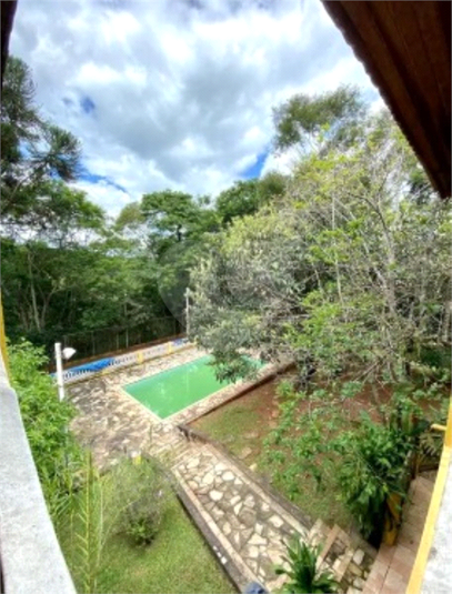 Foto REO1114879