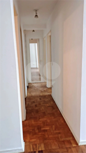 Foto REO1114881
