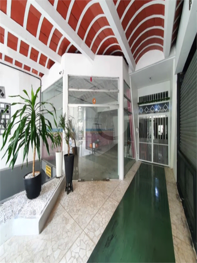 Foto REO1114884