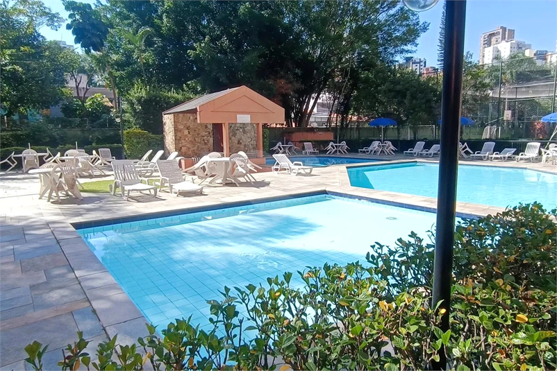 Foto REO1114885