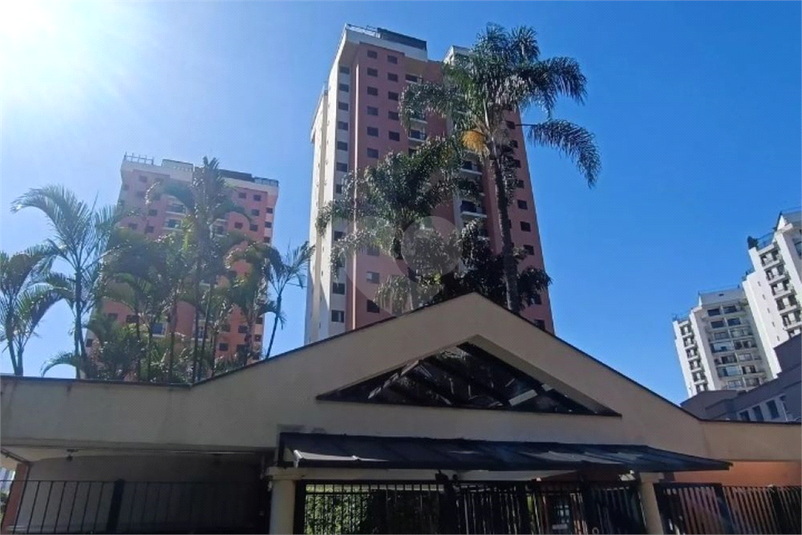 Foto REO1114885
