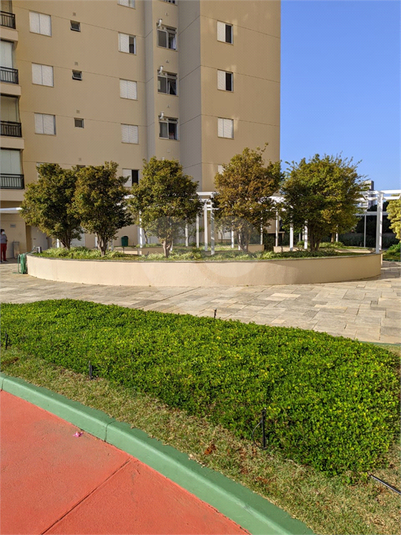 Foto REO1114894