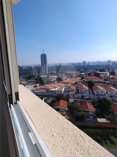 Foto REO1114894
