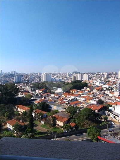 Foto REO1114894