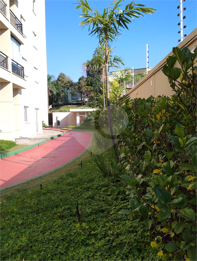Foto REO1114894