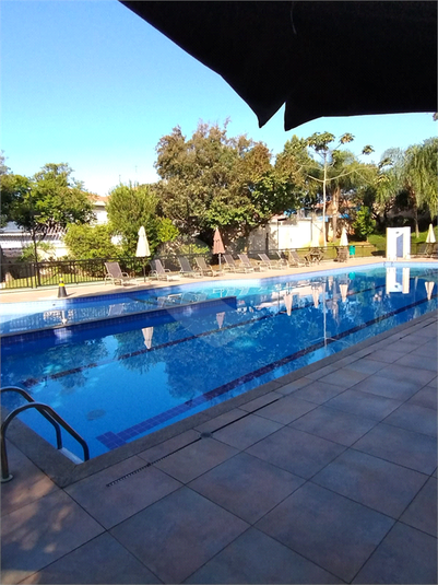Foto REO1114894