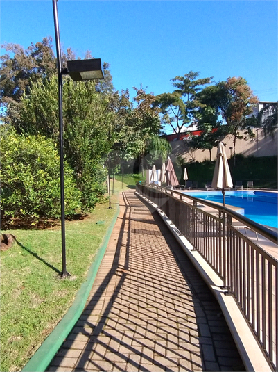 Foto REO1114894