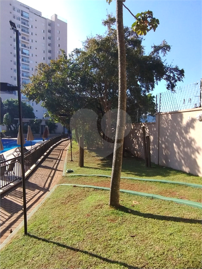 Foto REO1114894