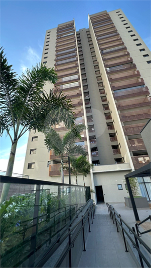 Foto REO1114899