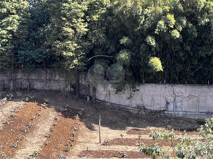 Foto REO1114901