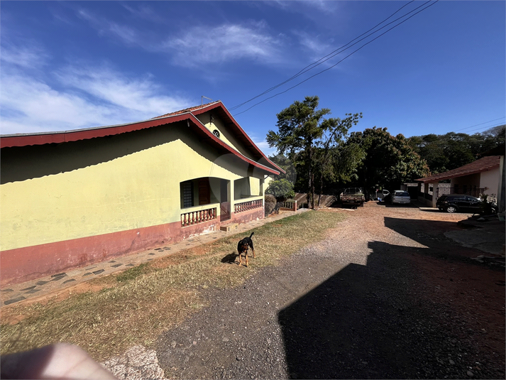 Foto REO1114901