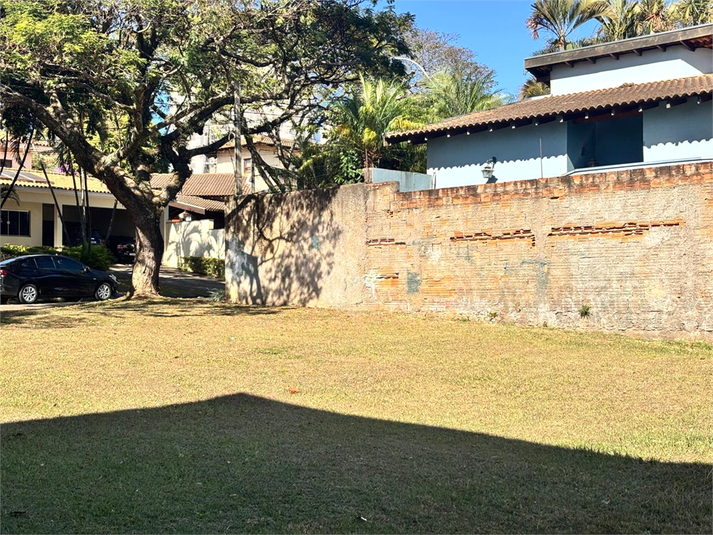 Foto REO1114902