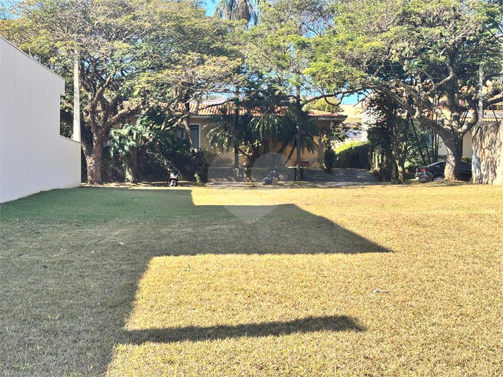 Foto REO1114902
