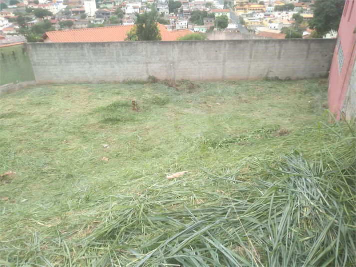 Foto REO1114906
