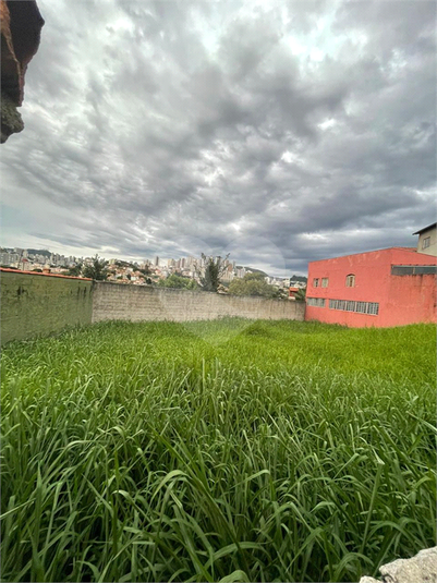 Foto REO1114906