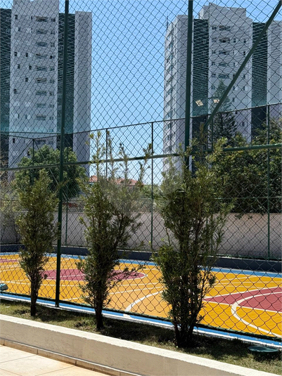 Foto REO1114914