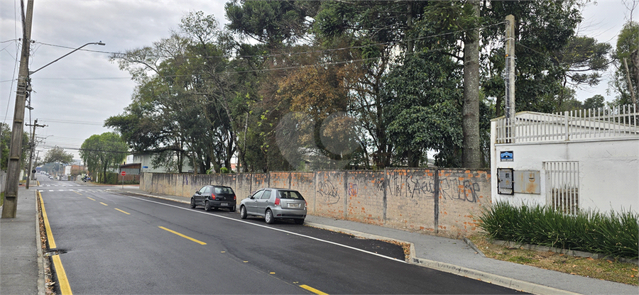 Foto REO1114916
