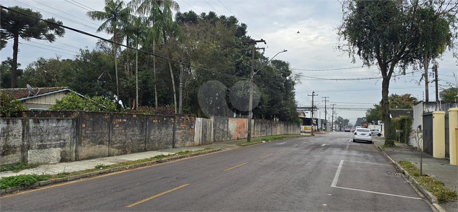 Foto REO1114916