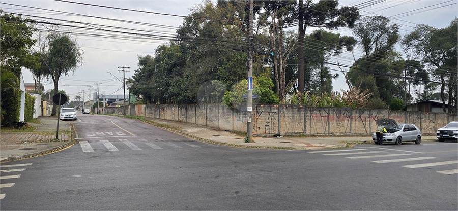 Foto REO1114916