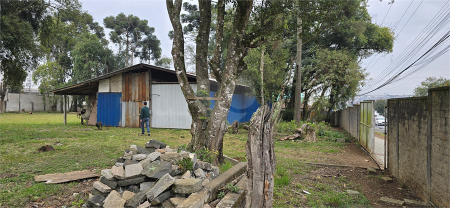 Foto REO1114916