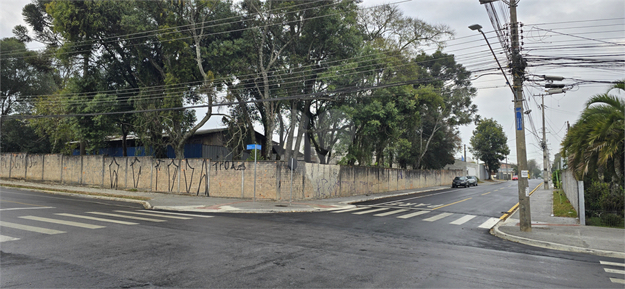 Foto REO1114916
