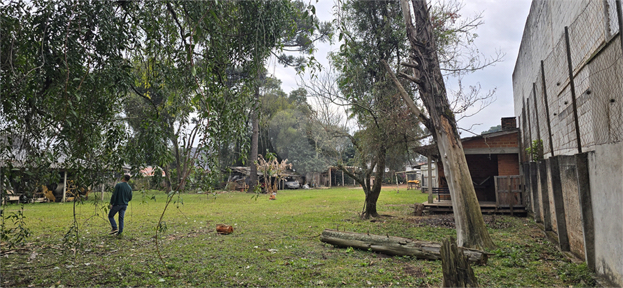 Foto REO1114916