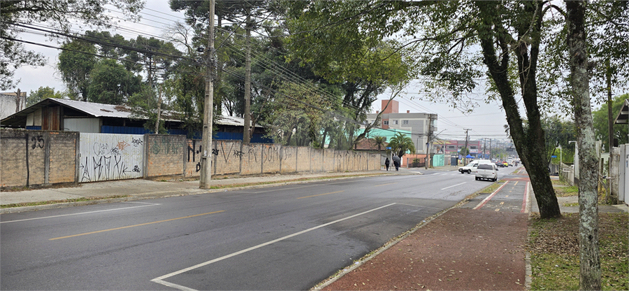 Foto REO1114916