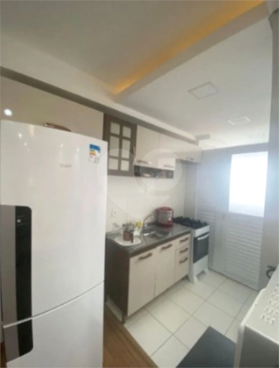 Foto REO1114937