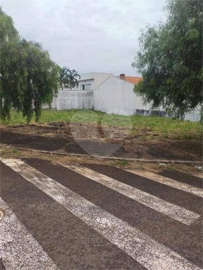 Foto REO1114939