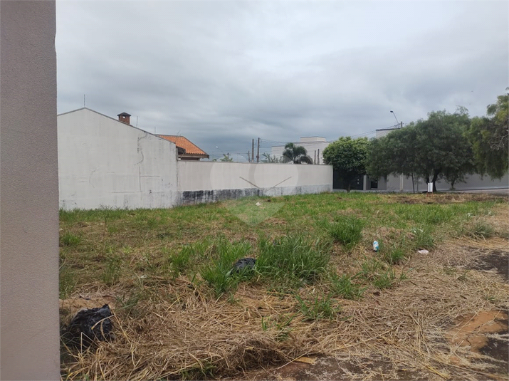Foto REO1114939