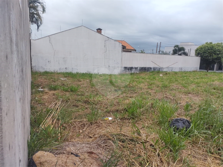 Foto REO1114939