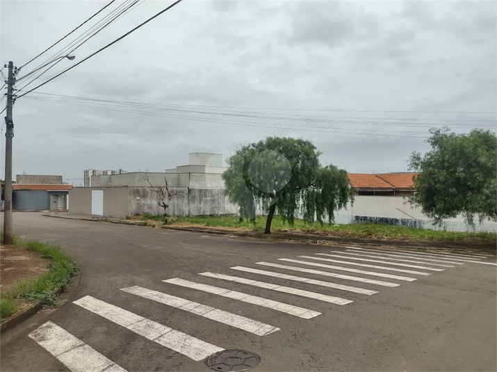 Foto REO1114939