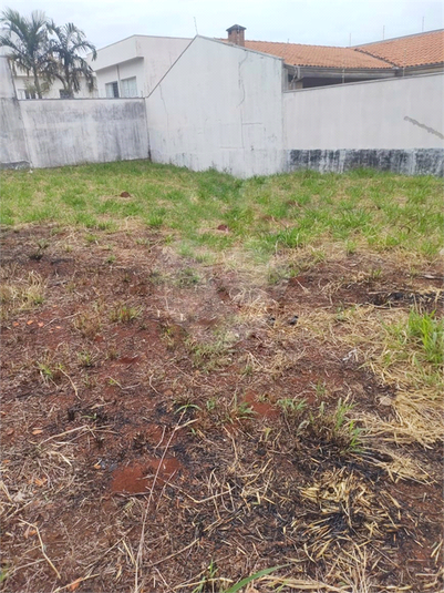 Foto REO1114939
