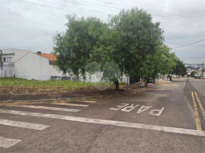 Foto REO1114939