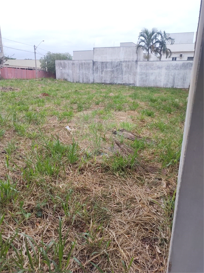 Foto REO1114939