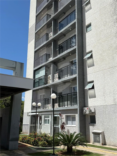 Foto REO1114942