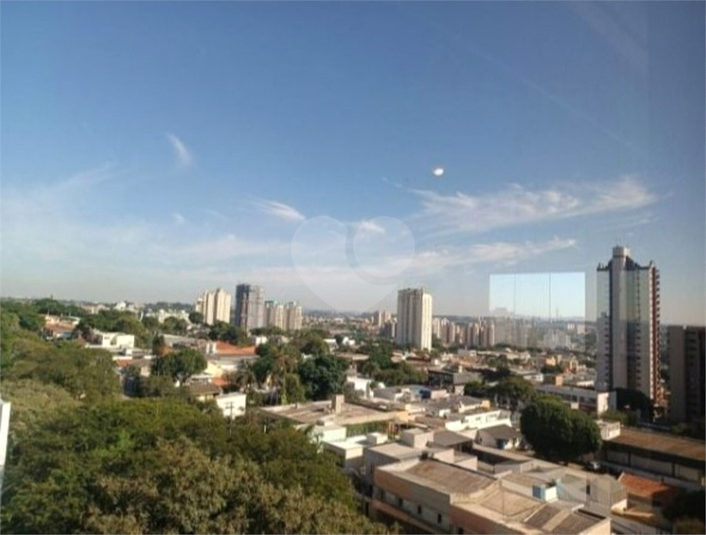 Foto REO1114943