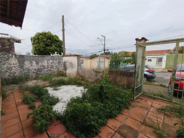 Foto REO1114949