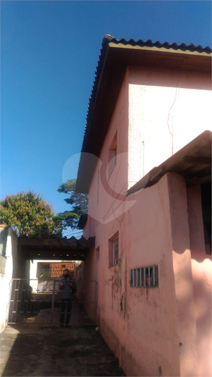 Foto REO1114956