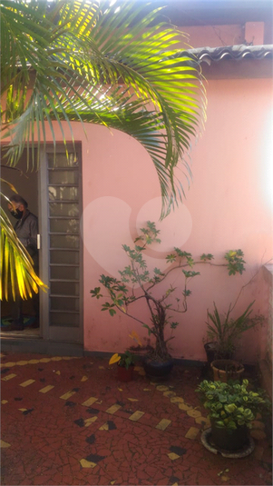 Foto REO1114956