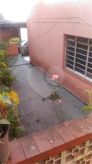 Foto REO1114956
