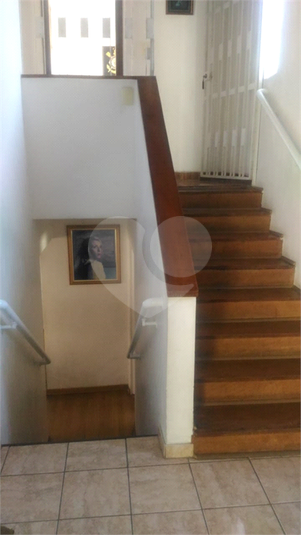 Foto REO1114956