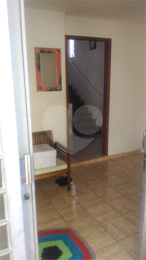 Foto REO1114956