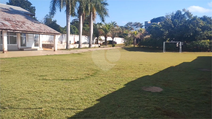 Foto REO1114957