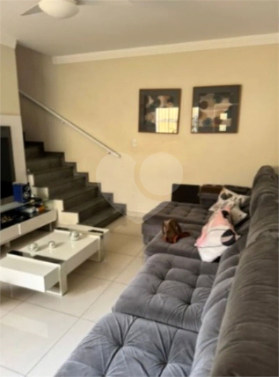 Foto REO1114958
