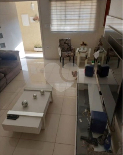 Foto REO1114958