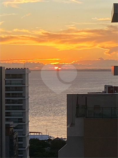 Foto REO1114990